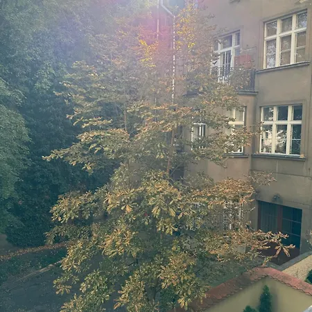 8- Little * Praag